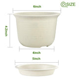 Plastic Planters - 6 Inches - 15 Pack