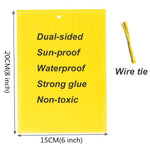 Dual-Sided Gnat Traps - 30 Pack