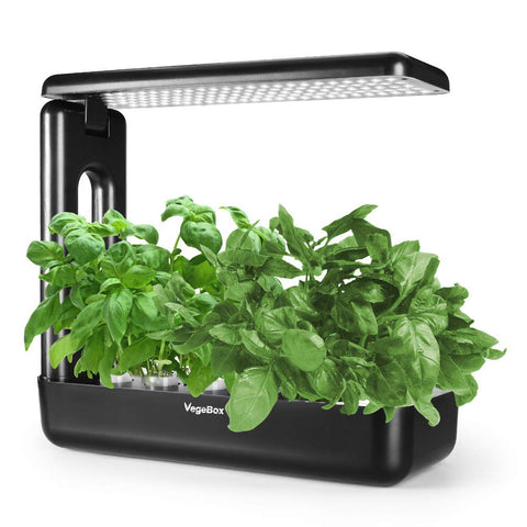 Hydroponic Growing System - 2L - Large - Black