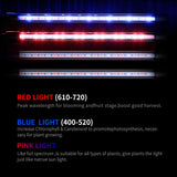 LED Grow Light - Red/Blue & Mixed Light Spectrum