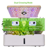Hydroponic Growing System - 12 Plant Pots