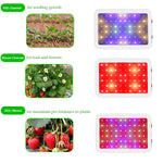 LED Grow Light - Full Spectrum - 60 Pieces
