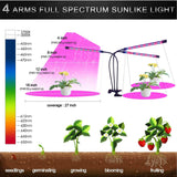 LED Grow Light - 60W - Red/Blue Spectrum
