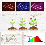 LED Grow Light - Red/Blue & Mixed Light Spectrum