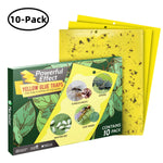 Dual-Sided Gnat Traps - 10 Pack