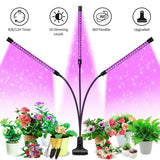 LED Grow Light - 60W - Red/Blue & Mixed Spectrum