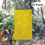 Dual-Sided Gnat Traps - 20 Pack
